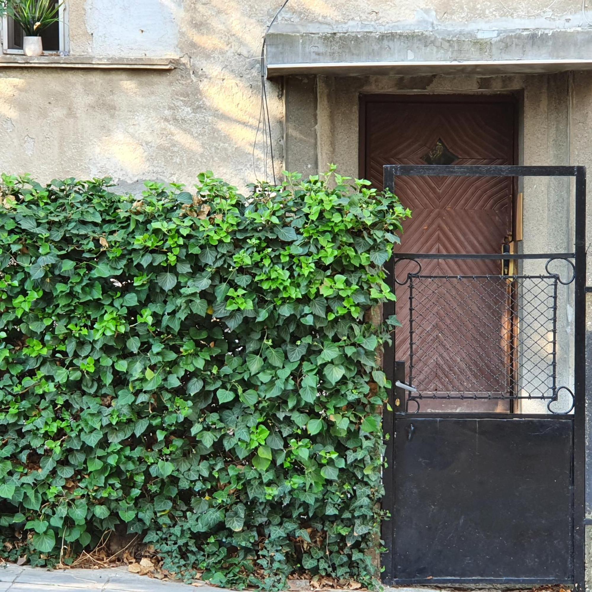 Brand New Apartment Σόφια Δωμάτιο φωτογραφία